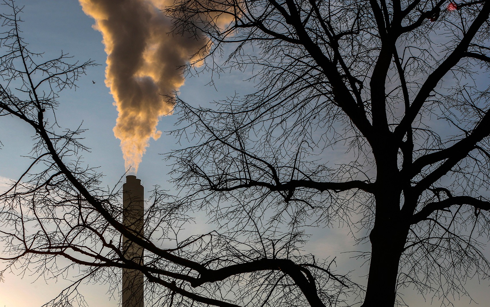 Hidrogênio verde: por que rede elétrica pode colocar Brasil entre maiores produtores mundiais de 'combustível do futuro'