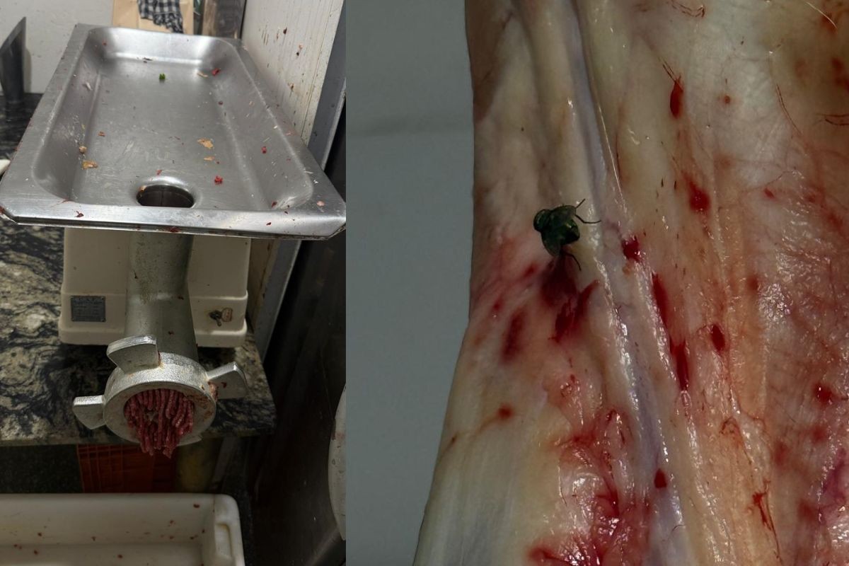 Açougue é interditado após fiscalização apreender quase meia tonelada de carnes impróprias em MS