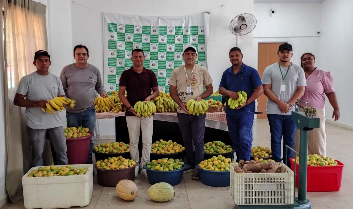 SAF entrega mais de 3 toneladas de alimentos e beneficia 116 famílias no sul do PI