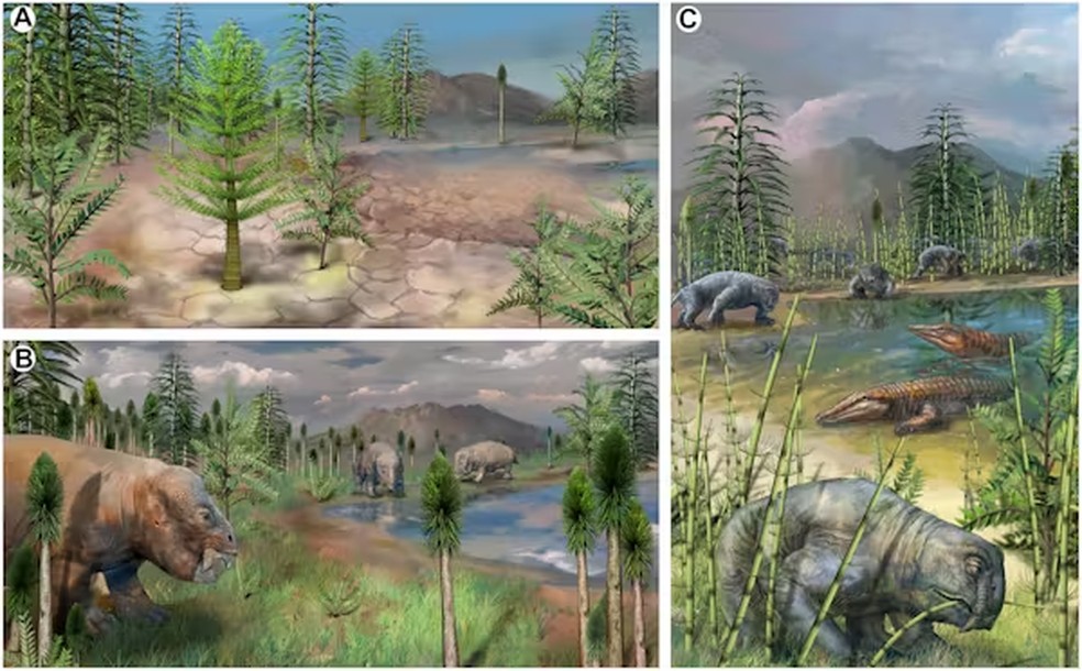 Refgio entre runas: desenterrando a flora perdida que escapou da extino em massa no final do Permiano  Foto: Science, CC BY, via The Conversation