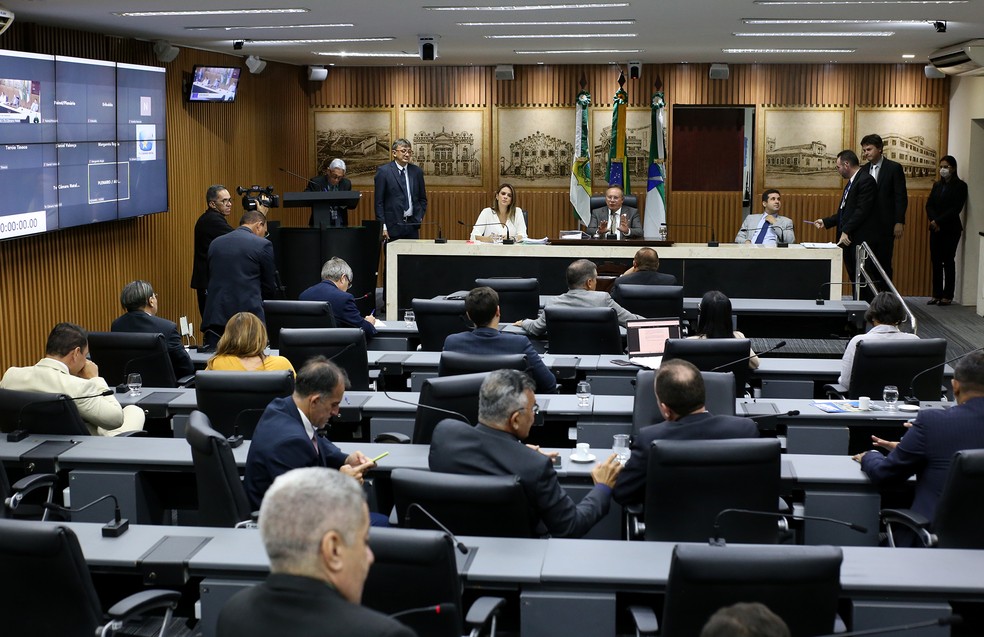 Notícias - Câmara exibirá jogos da Seleção Brasileira na Copa do Mundo  Feminina - Câmara Municipal de Juiz de Fora