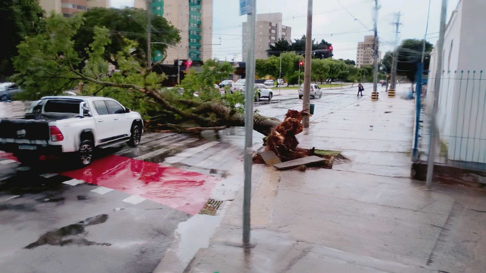 Chuva de granizo provoca alagamentos e derruba árvores em São José dos Campos, SP