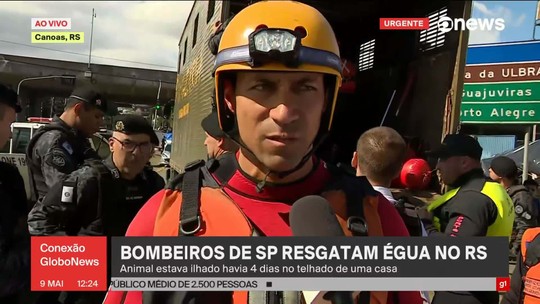 Bombeiro detalha operação de resgate de égua ilhada em Canoas, no RS - Programa: Conexão Globonews 