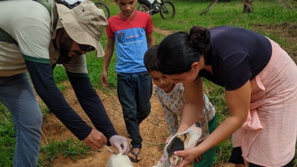 Campanha de vacinação antirrábica imuniza quase 400 animais da região de Planalto em Oriximiná