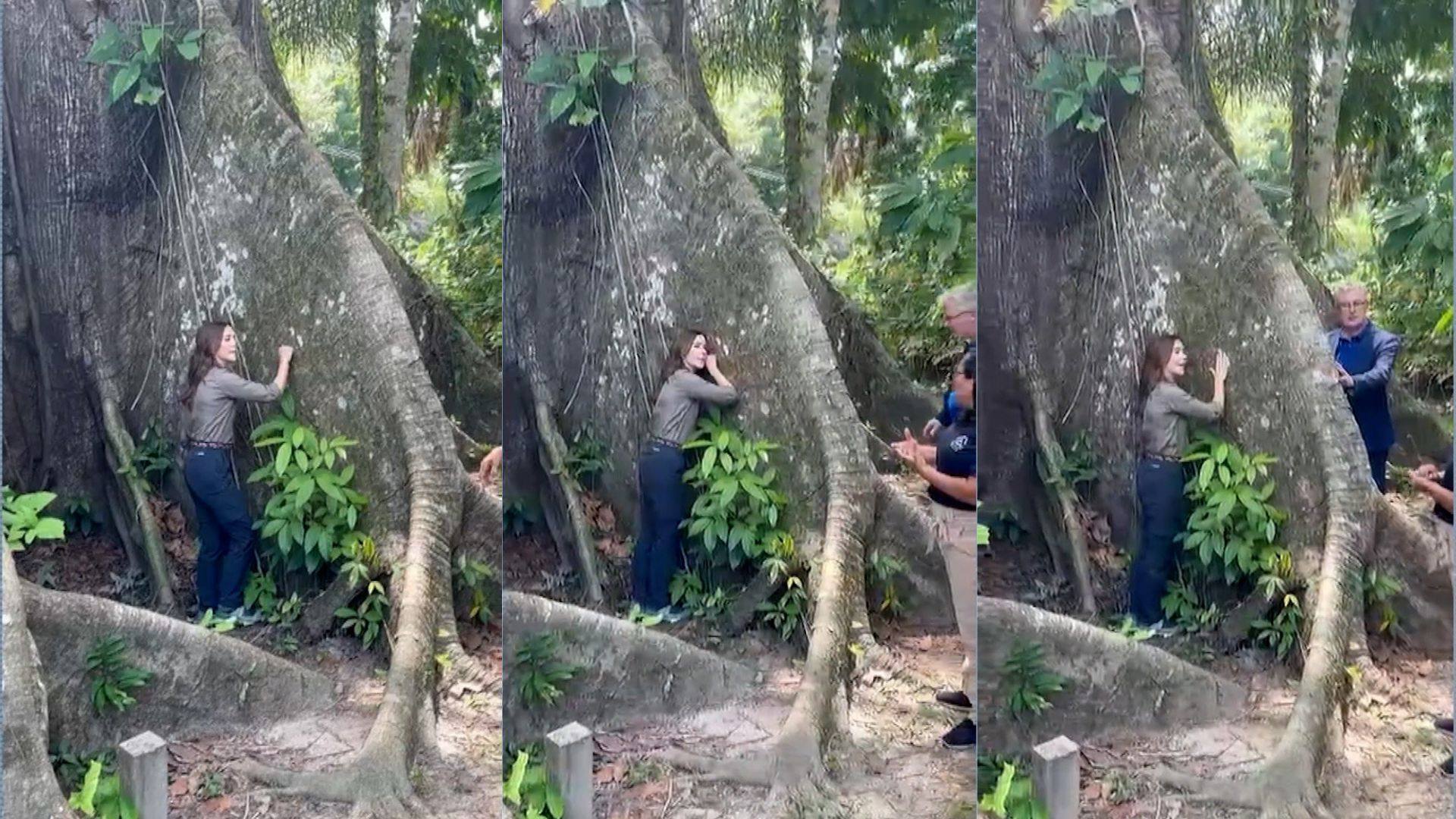 Rainha da Dinamarca visita ilha em Belém e 'abraça' samaumeira 
