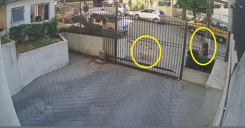 Vídeo: Homem aponta arma para pedestre que passeava com cão e rouba celular na Zona Norte de SP