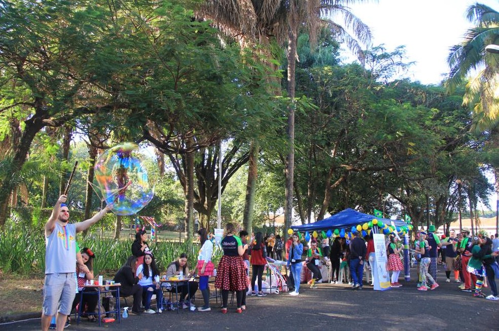 Confira as feiras de artesãos e empreendedores do final de semana -  Prefeitura de Araraquara