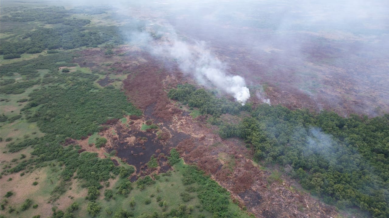 No Amapá, incêndio na Reserva Biológica do Lago Piratuba chega a 20 mil hectares, diz Ibama