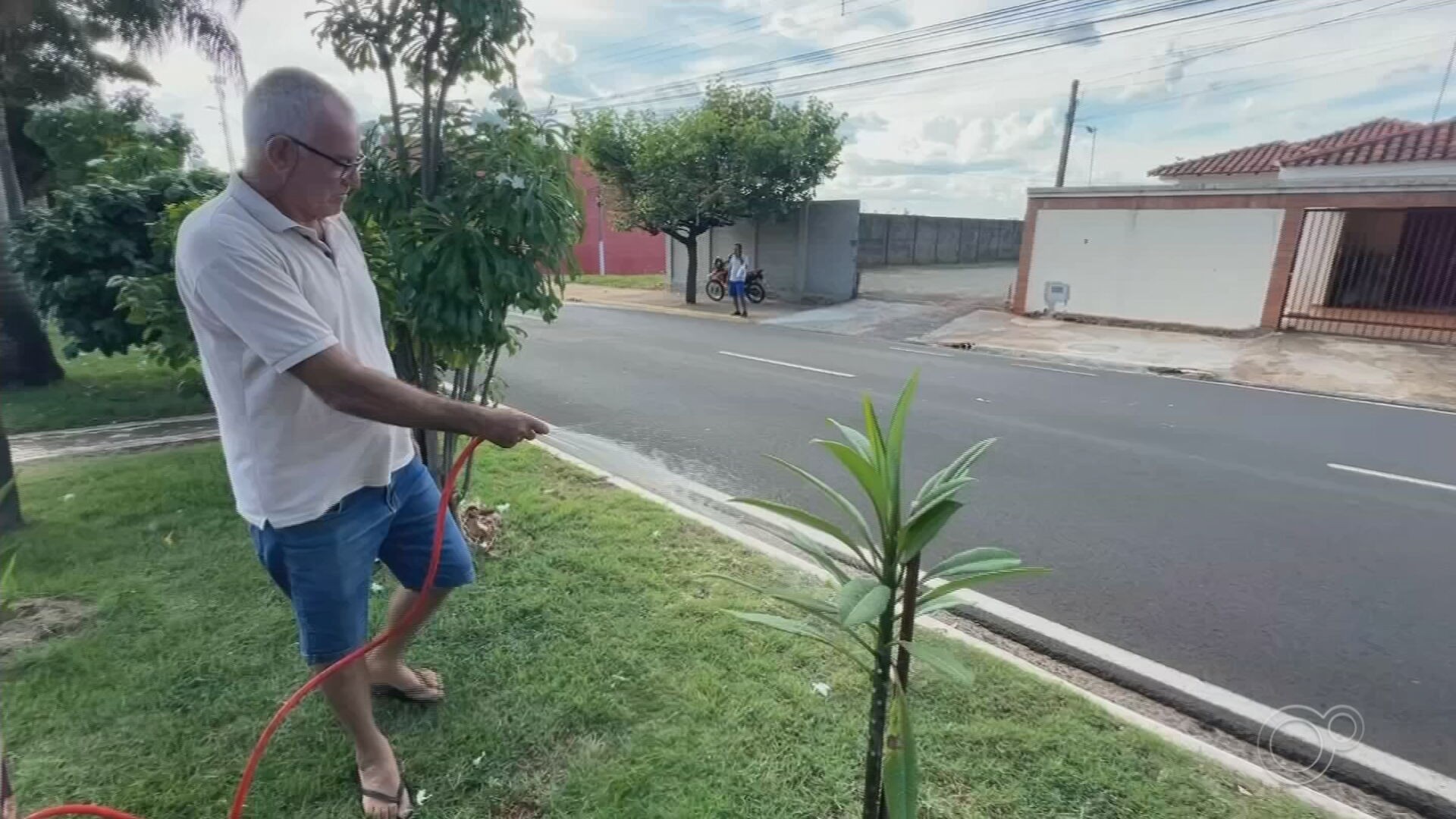 Moradores 'adotam' áreas públicas e ajudam a arborizar Araçatuba: 'Legado que a gente está deixando'
