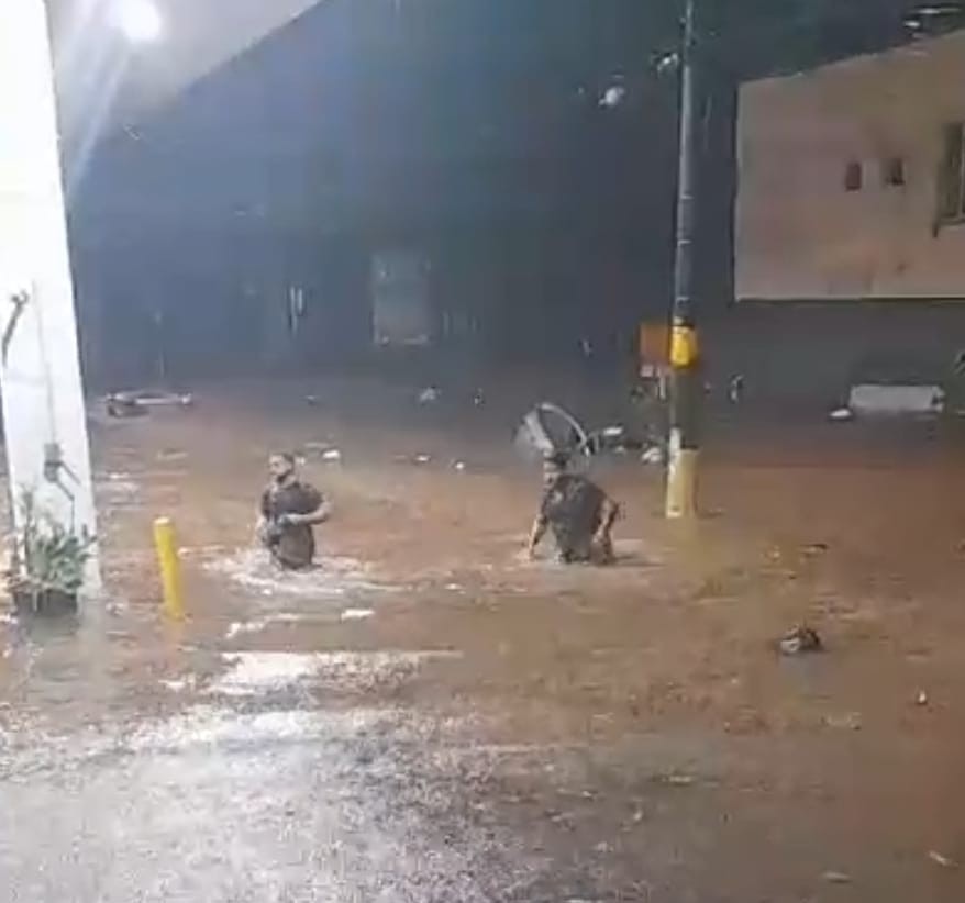  'Água começou a entrar no carro e já não tinha como fugir', diz motorista que nadou em enchente em BH; VÍDEO