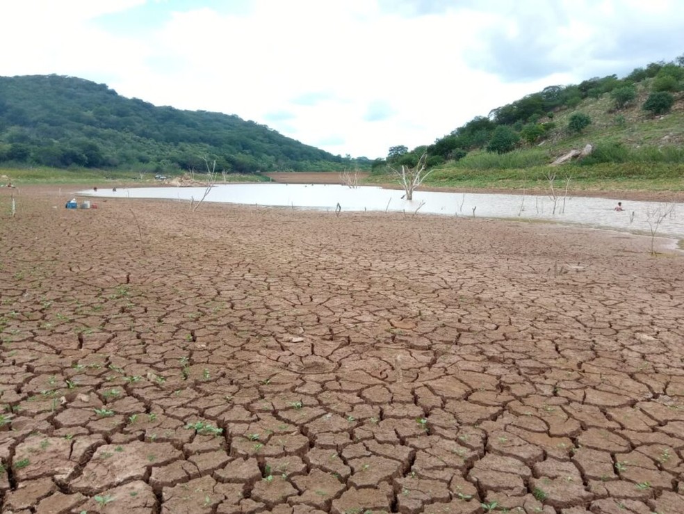 Governo Federal reconhece situação de emergência em cidades do Piauí devido  à seca | Piauí | G1