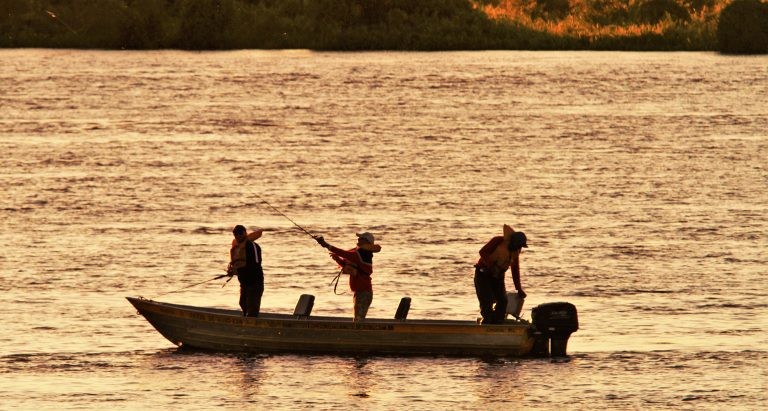 Modalidade ‘pesque e solte’ está liberada na calha do rio Paraguai a partir deste sábado