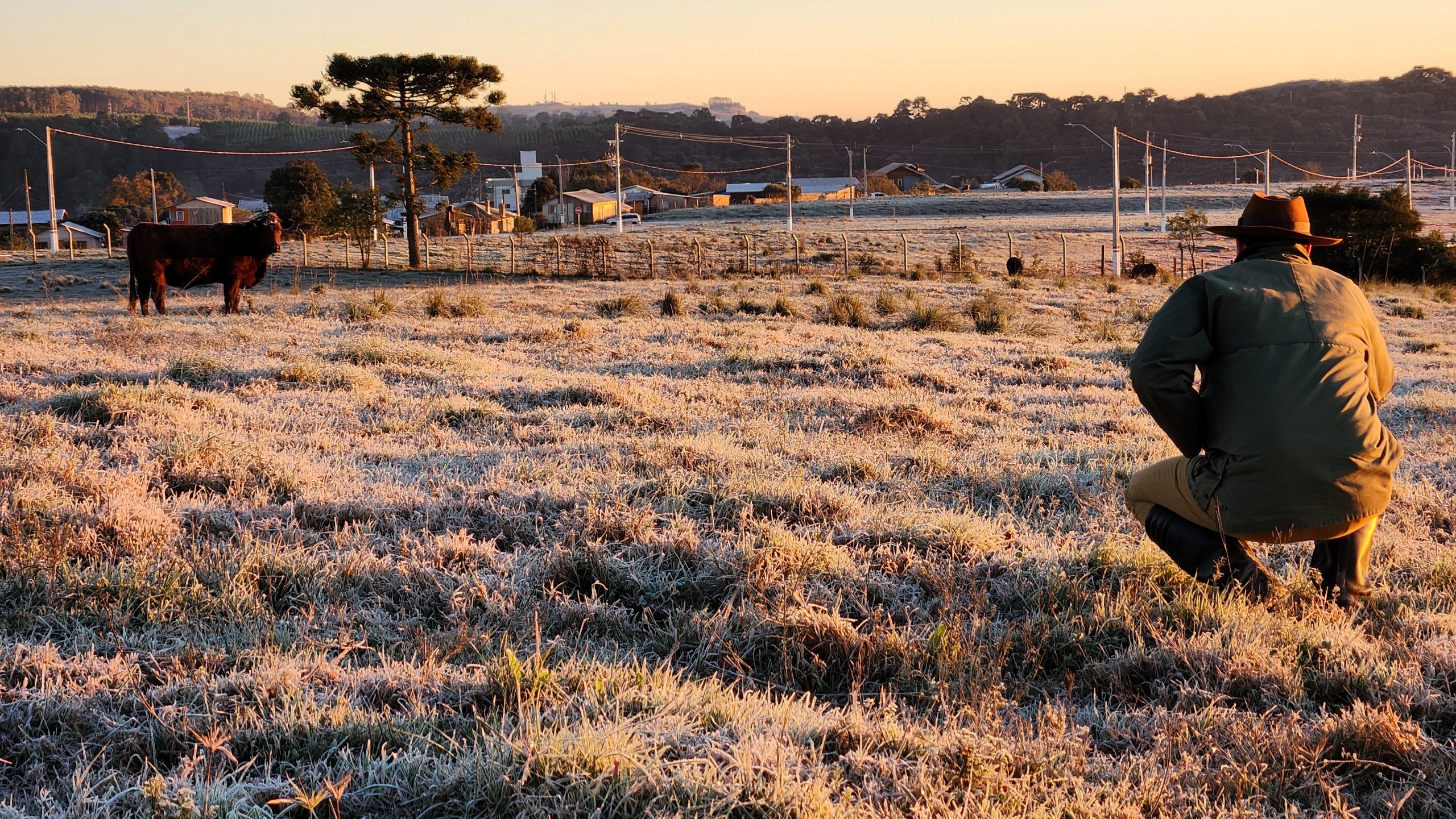 Nova onda de frio em SC prevê temperaturas negativas, geada e congelamento de pistas