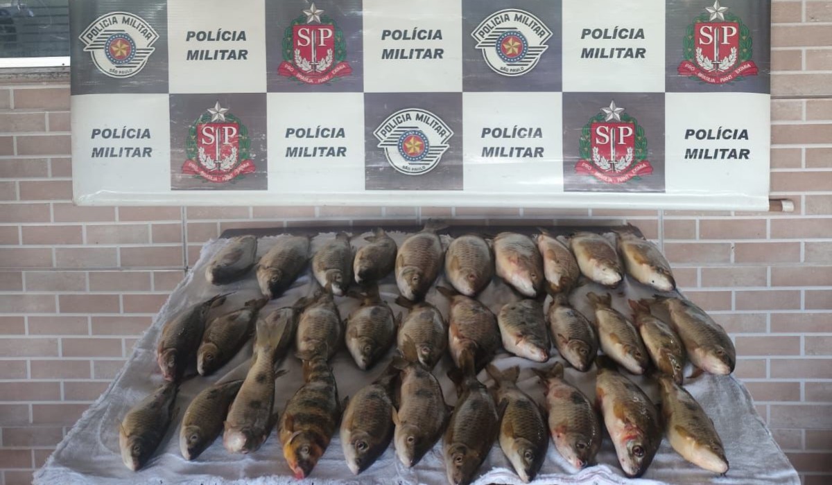 Homens são multados em R$ 3,7 mil por pesca em área proibida do Rio Paraná, em Rosana