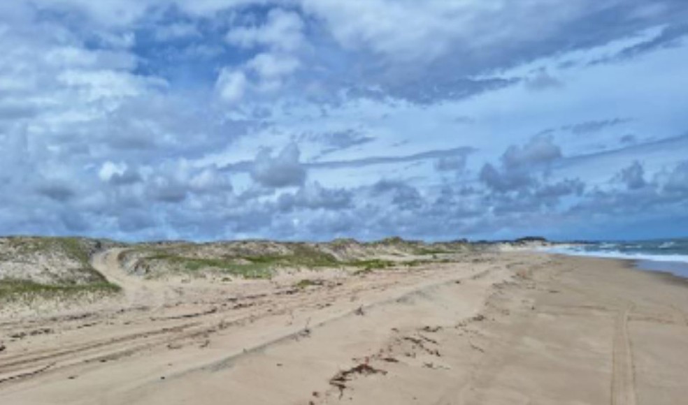 Praia de Malembá tem tráfego constante de veículos; marcas ficam na areia beira-mar — Foto: Divulgação/MPF