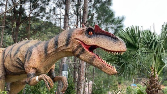 Maior parque de dinossauros em réplicas do Brasil é inaugurado - Foto: (Pedro Machado/ NSC)