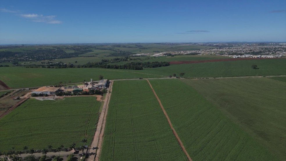 Terras agrícolas são mais caras em Maringá — Foto: RPC