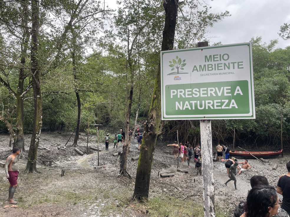 Foliões vão para o manguezal para se lambuzar de lama no 'Pretinhos do Mangue'. — Foto: Taymã Carneiro / g1