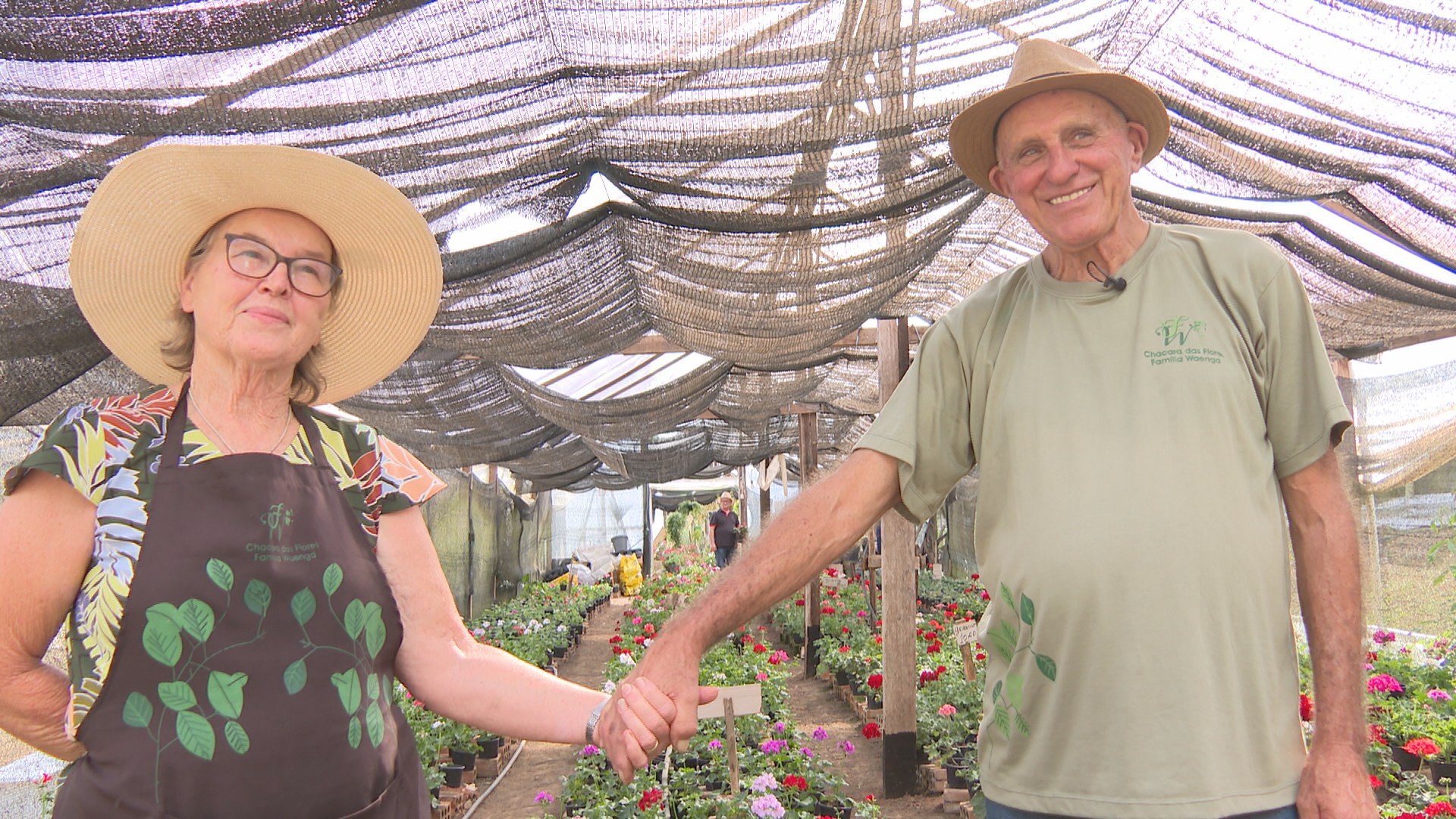 Produtor rural troca plantação de feijão por cultivo de flores e conquista clientela no Paraná