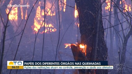 Entenda os diferentes papéis das instituições que atuam no controle das queimadas