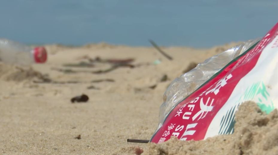 Projeto da UFPB retira lixo do mar e transforma em produtos sustentáveis