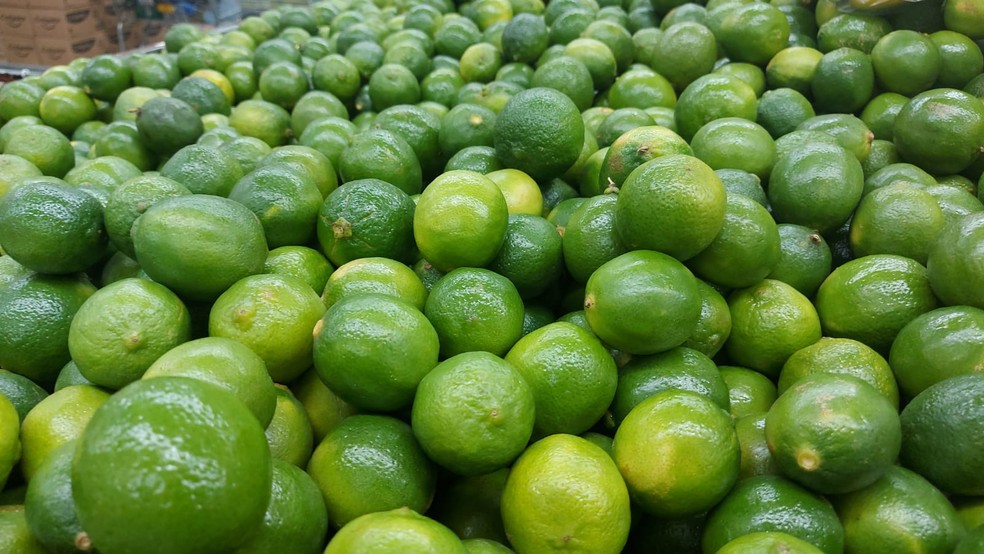 Limão contribuiu para o bom desempenho brasileiro de exportações de frutas frescas, aponta pesquisa do Campus da USP de Piracicaba — Foto: Claudia Assencio/g1