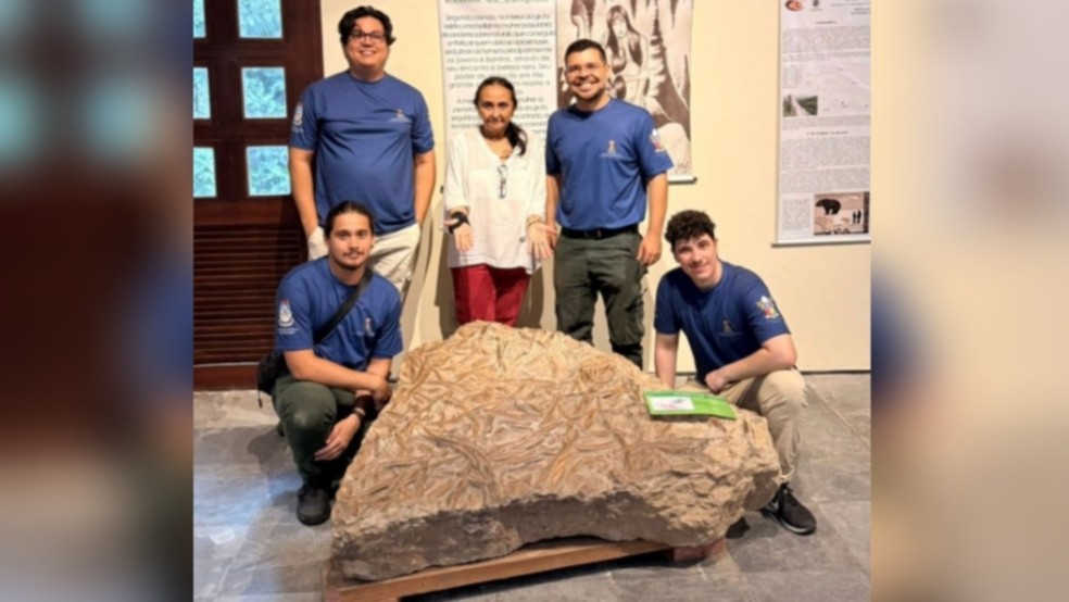 Fósseis de 430 milhões de anos indicam que existiu mar antes dos dinossauros em região serrana do Ceará, — Foto: UVA/Reprodução