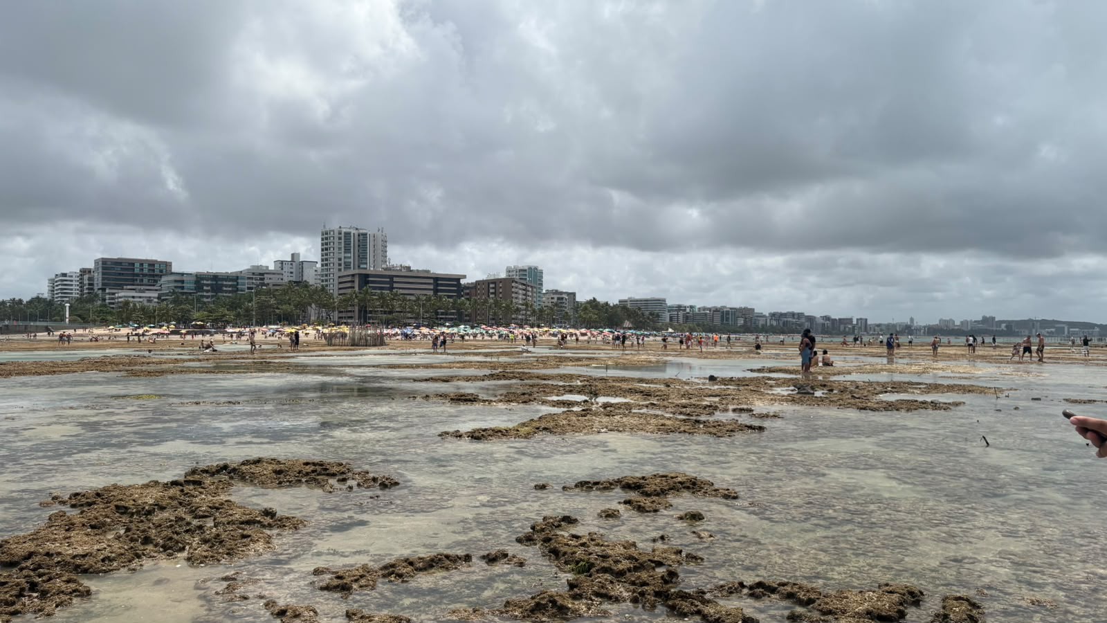 Previsão do tempo em Alagoas: vai chover no fim de semana?