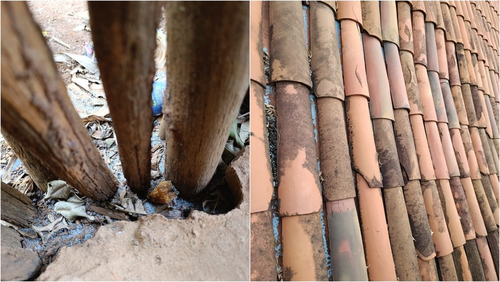 Corpo de Bombeiros realiza operação para recolhimento de agrotóxico — Foto: Reprodução