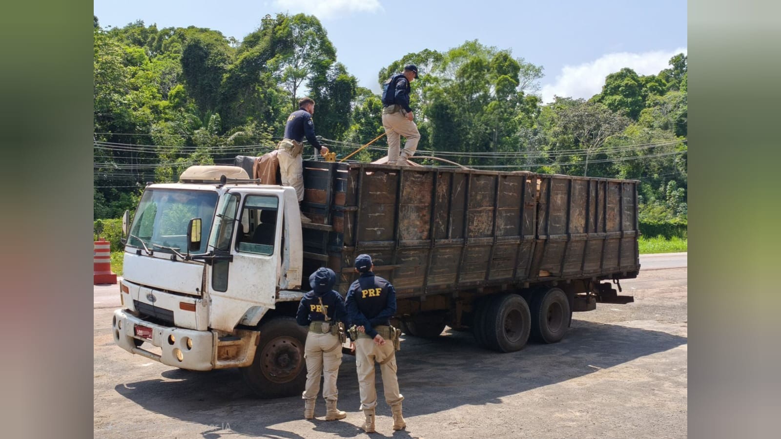 PRF flagra transporte ilegal de madeira na BR-163 em Santarém