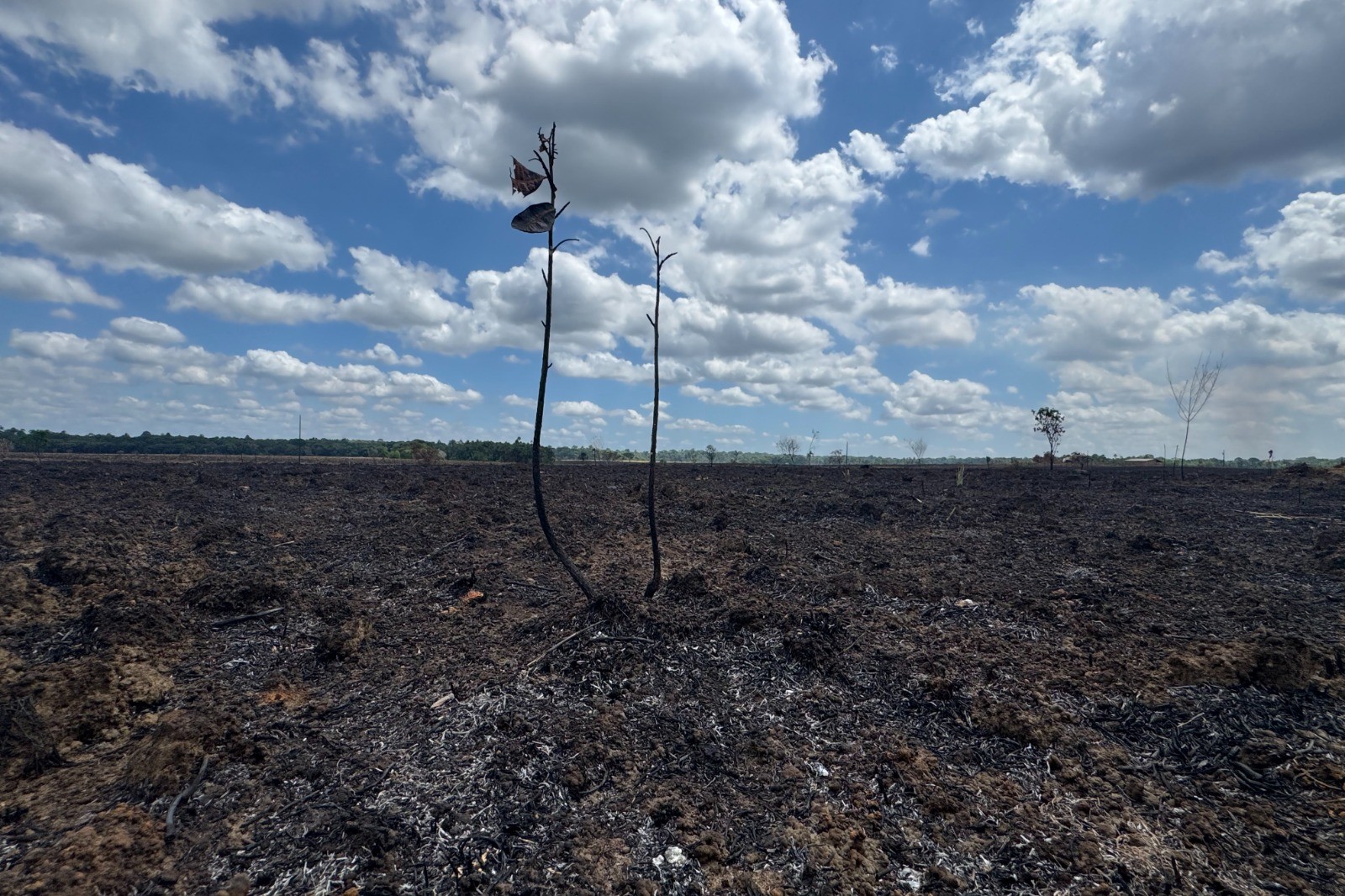 Amapá registra mais de mil focos de calor em 48 horas; número é 176% maior que no mesmo período de 2025