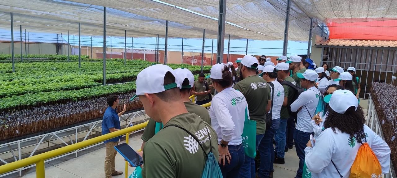 GRATUITO! Cursos de Inglês, Fisioterapia e Mais: Confira Oportunidades IMPERDÍVEIS no Grande Recife!