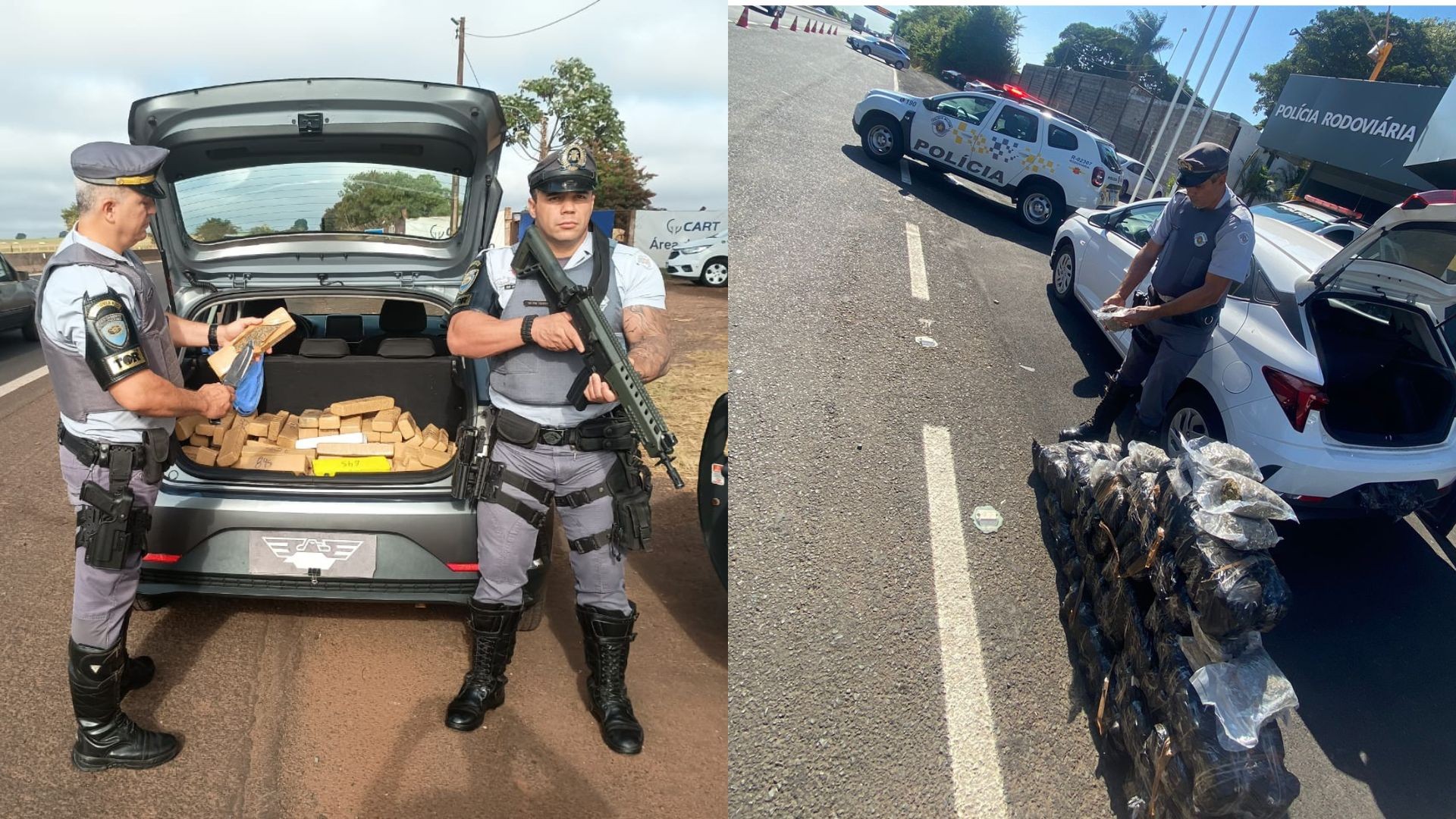 Polícia Rodoviária apreende cargas de maconha e skunk no interior de SP 