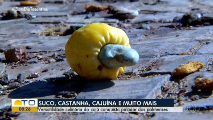 Safra do caju conquista o paladar dos palmenses
