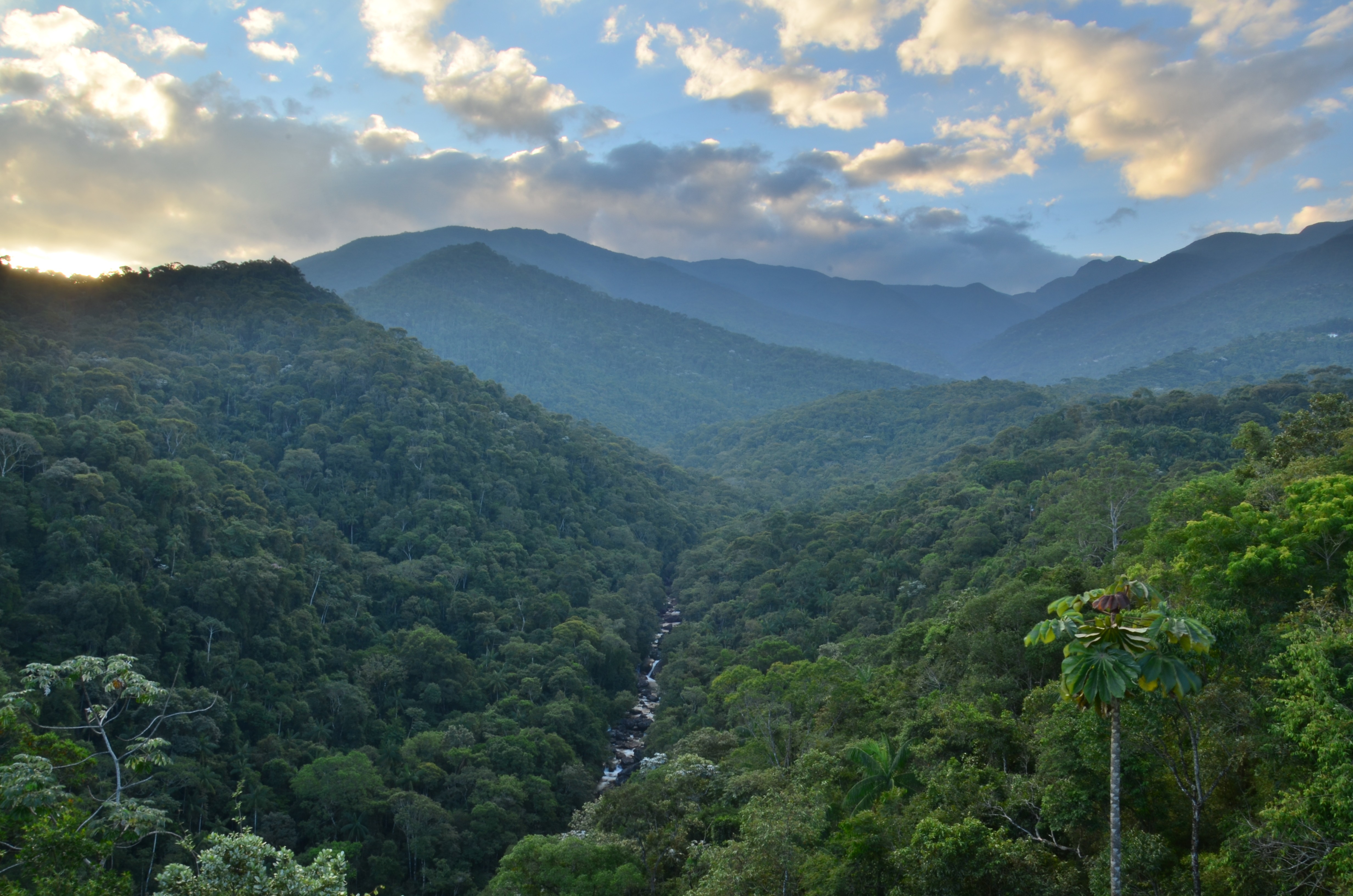 Parque Nacional do Itatiaia promove corrida inclusiva para PCDs