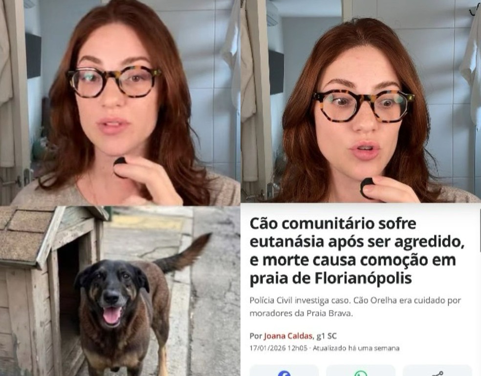 A influencer Karol Queiroz também comentou a violência sofrida por Orelha — Foto: Reprodução/Redes sociais