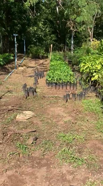 Mar do Sertão bomba e desbanca Pantanal no Globoplay