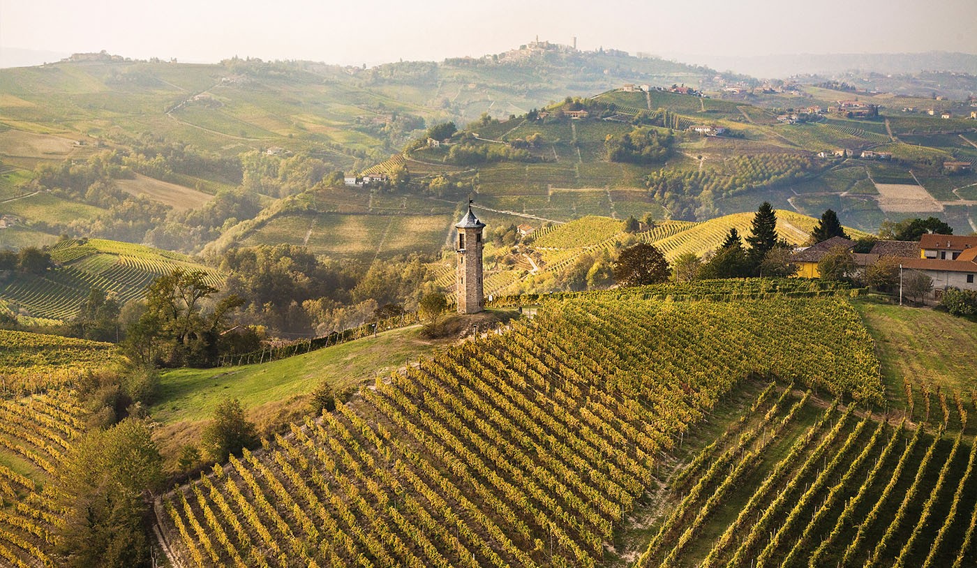 Brunello, Barolo e Barbaresco: as diferenças dos três vinhos italianos