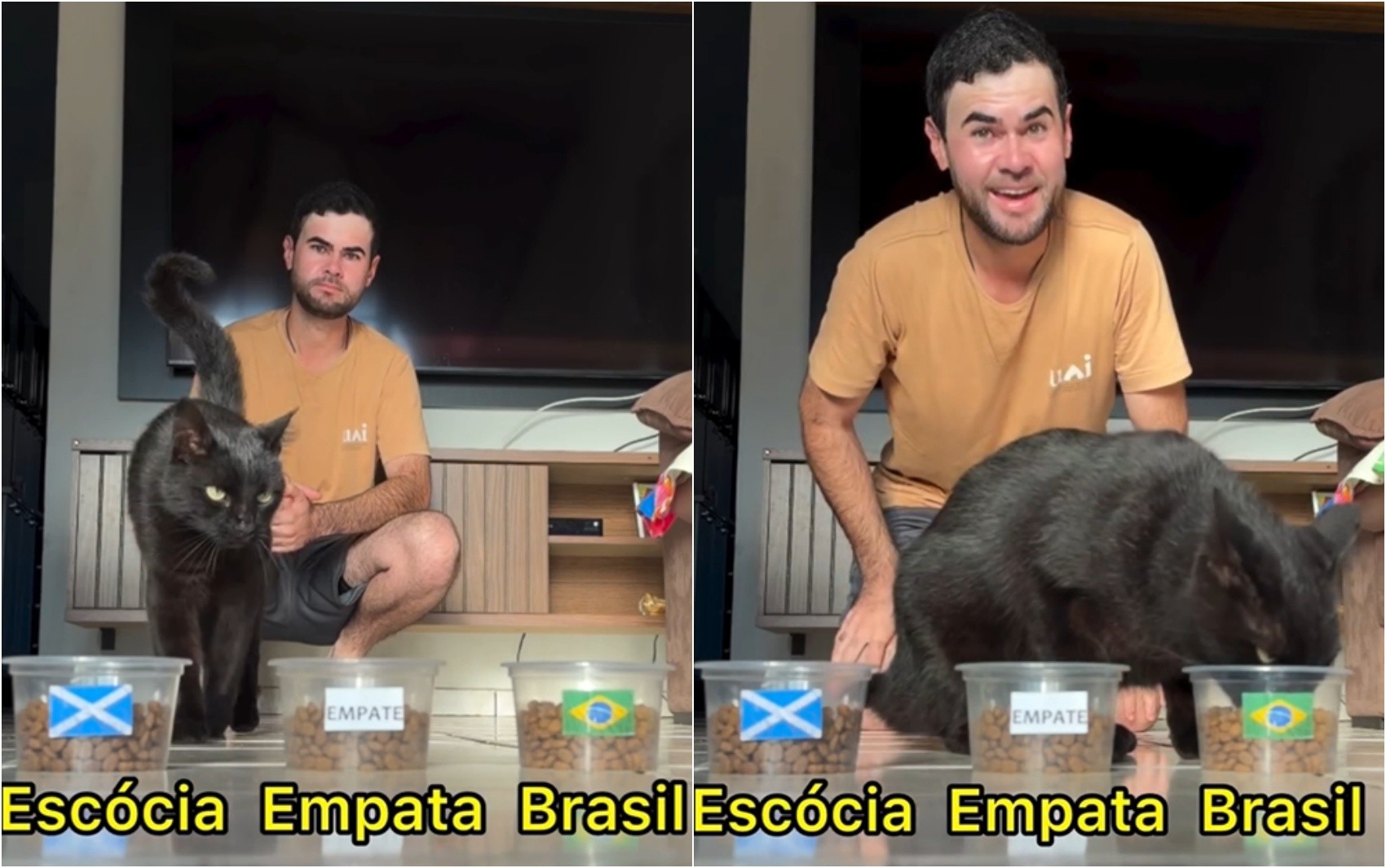 Gato Milu prevê vitória do Brasil contra a Escócia na Copa do Mundo