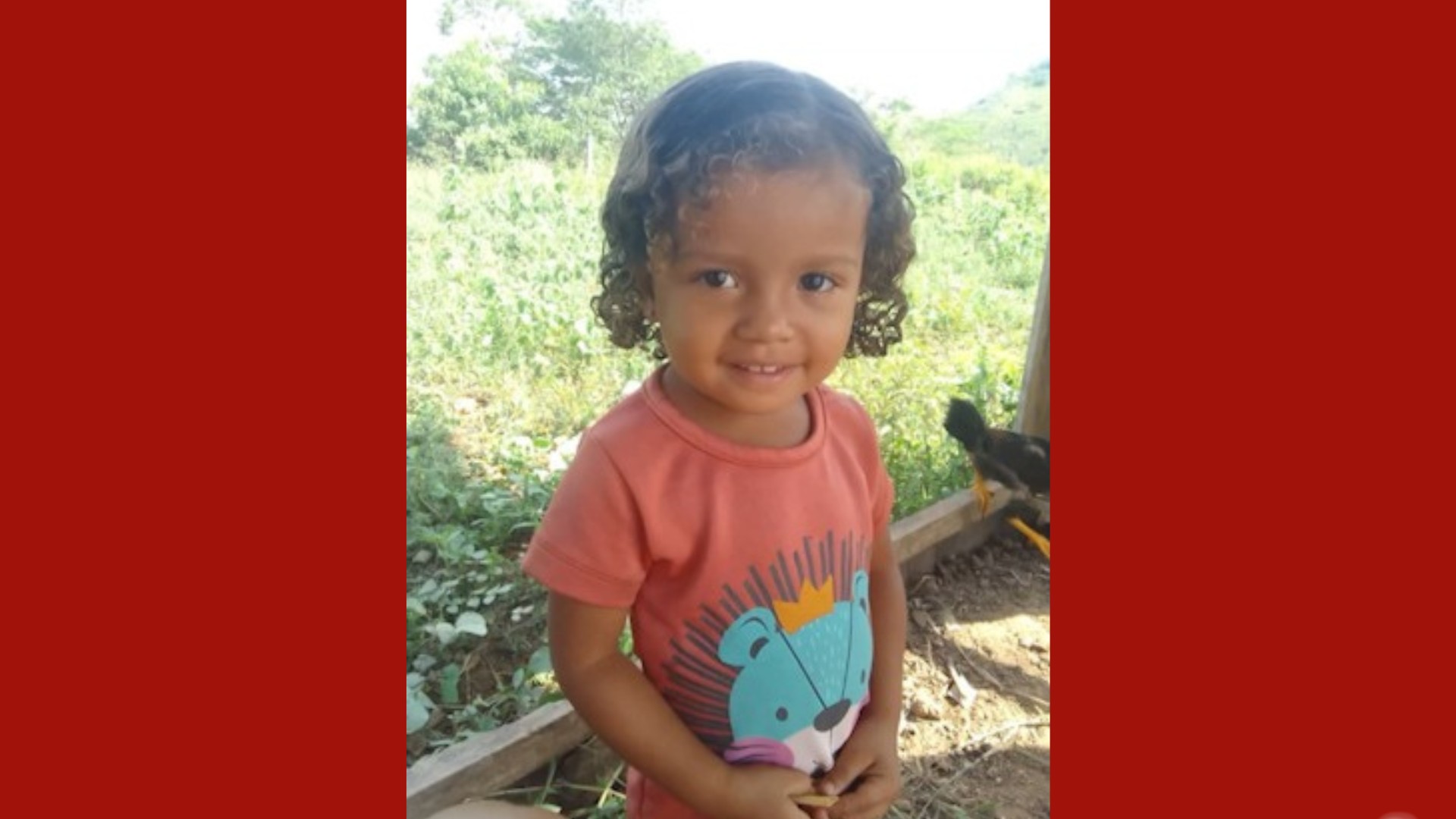 Corpo de criança de dois anos morta no PA é liberado após perícia | G1