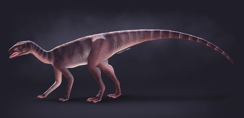 Viagem ao tempo dos Dinossauros – VERDE HORIZONTE on-line
