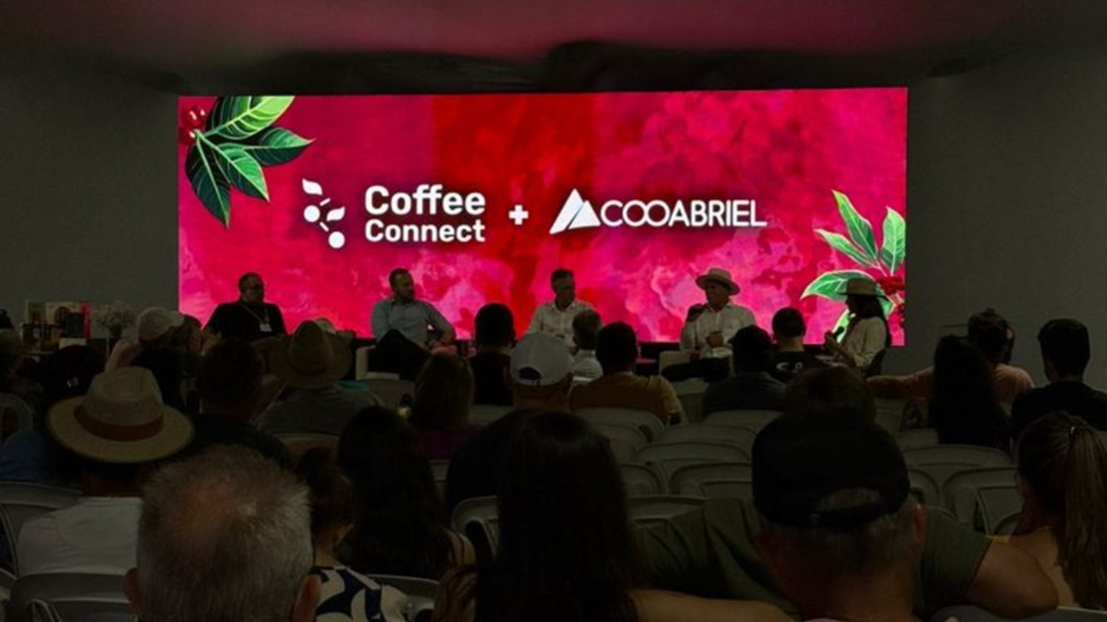 Painel destaca força das cooperativas de café no Coffee Connect 2025