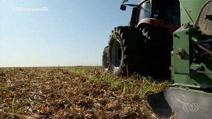 Com o fim do vazio sanitário da soja, produtor espera a chuva para o plantio