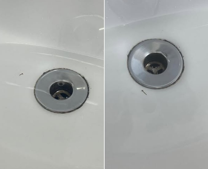 Funcionários denunciam larvas do mosquito da dengue em caixa d'água de UBS em SP: 'Descobrimos escovando os dentes'