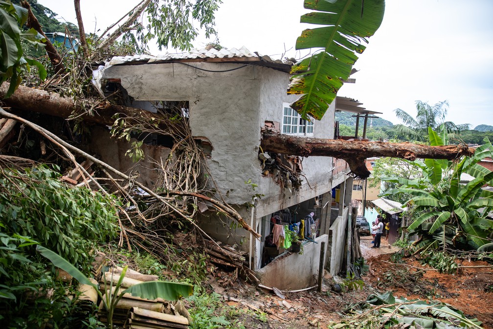 Tronco de uma árvore derrubada pelo deslizamento atravessou paredes de uma casa na Vila Sahy, em São Sebastião — Foto: Fábio Tito/g1