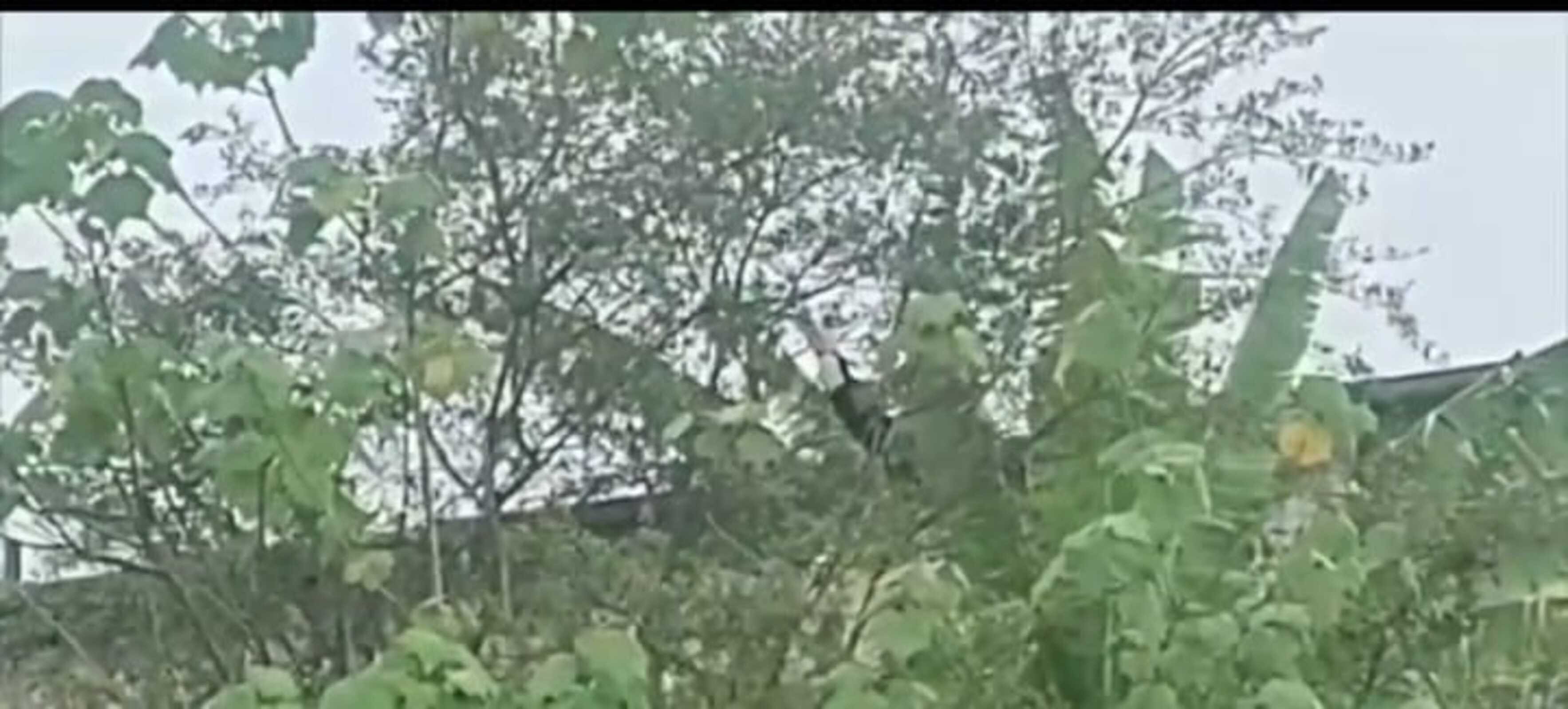 Moradores de bairro de Mogi das Cruzes recebem visita de tucano