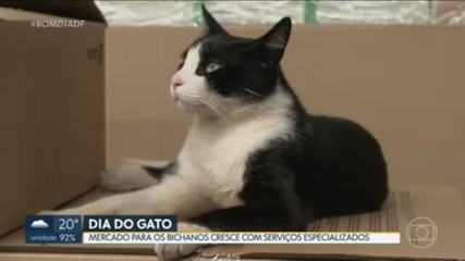 VÍDEOS: Bom Dia DF de segunda-feira, 17 de fevereiro de 2025 - Portais