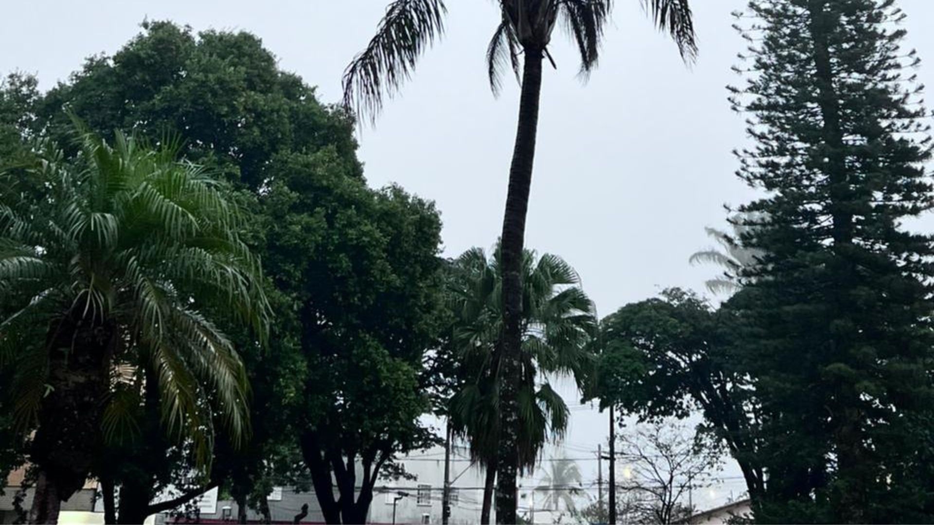 Triângulo Mineiro atravessa frio polar com mínima de 1,7 °C; confira cidades mais frias