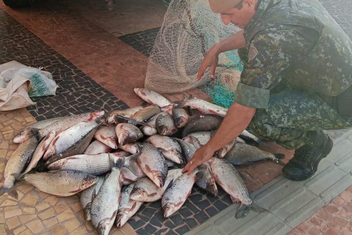 Polícia apreende mais de 50 kg de peixes após fuga de pescadores no Rio Aguapeí no interior de SP
