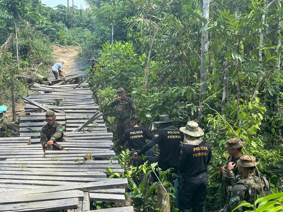 Agentes da PF destróem construções clandestinas usadas por invasores — Foto: Divulgação/PF